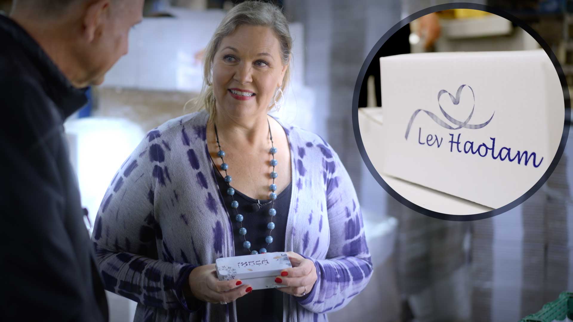 Christchurch Fenster