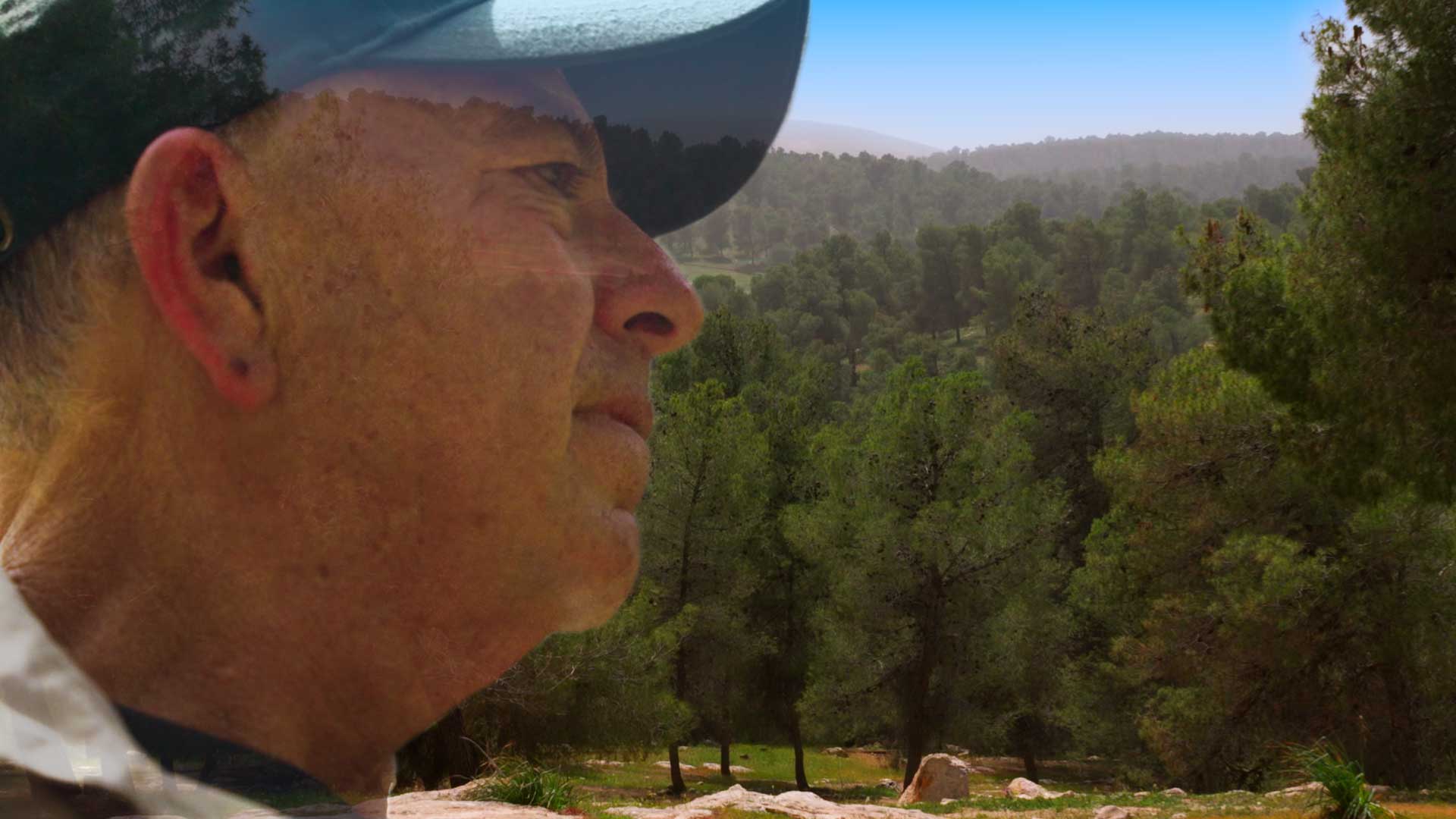 Israel erlebt sein grünes Wunder - aus Wüste wird Wald